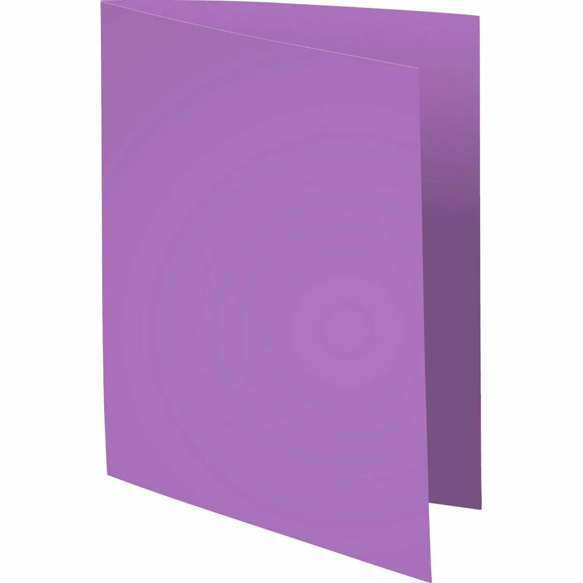 Exacompta Violet Sous-Dossier