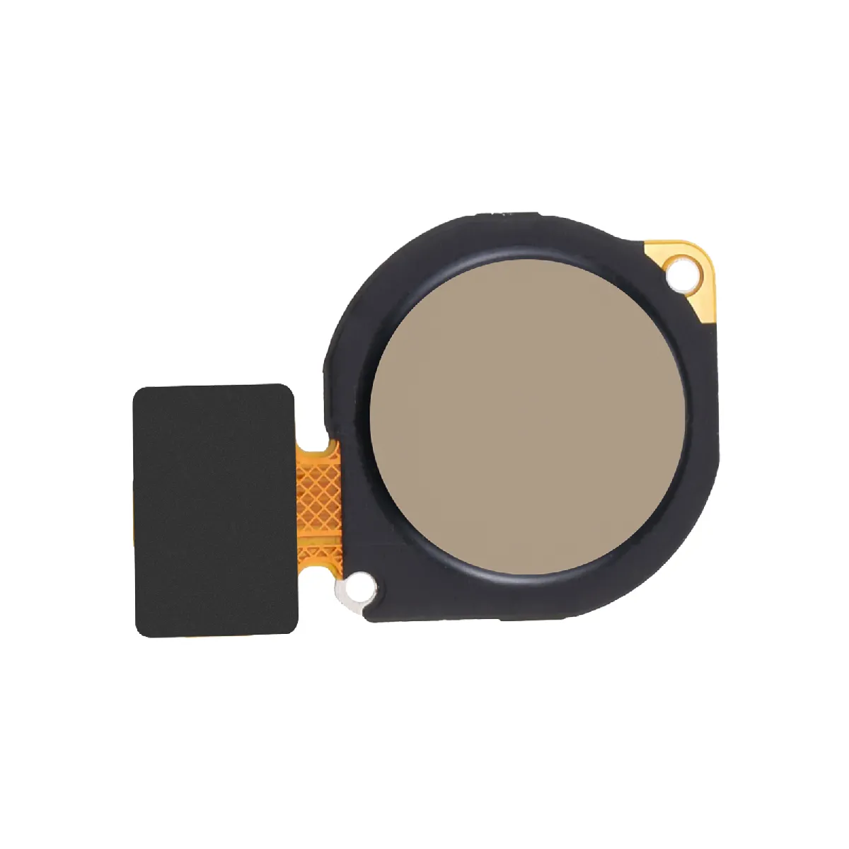 Avizar Argent Honor 8A Lecteur Empreinte
