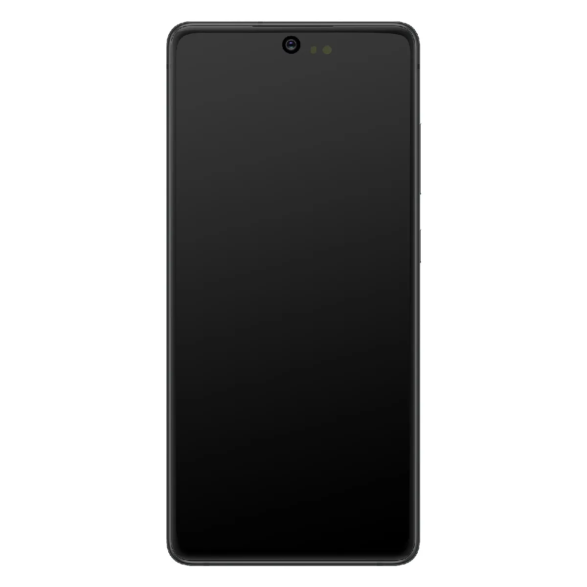 Ecran LCD pour Samsung Galaxy S10 Lite - vue 9