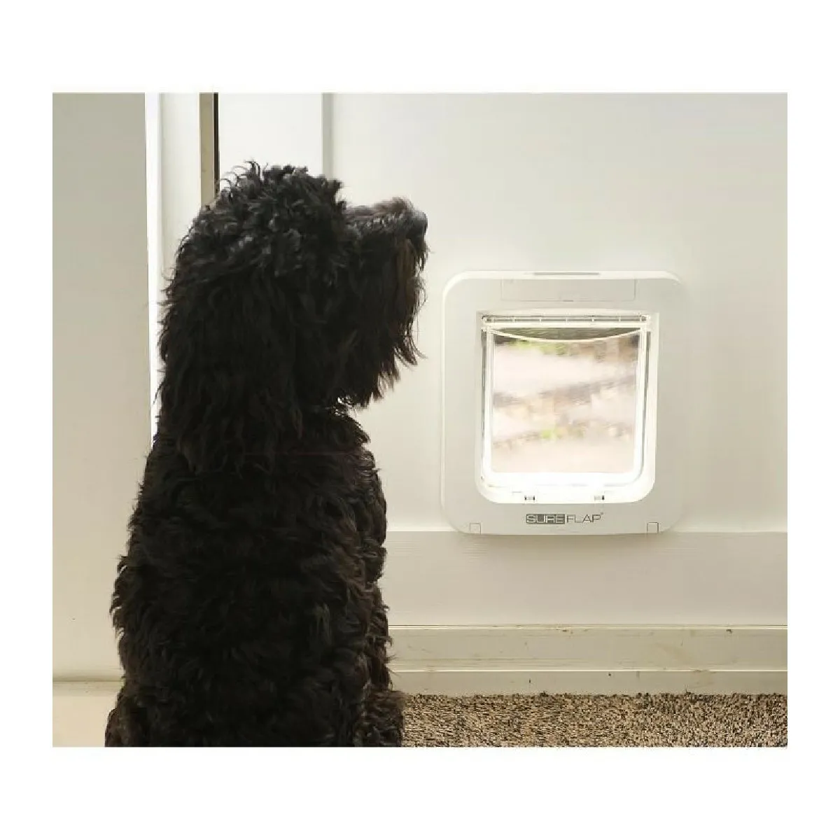 Sureflap Chatière à puce électronique Blanc Chatière Rue du