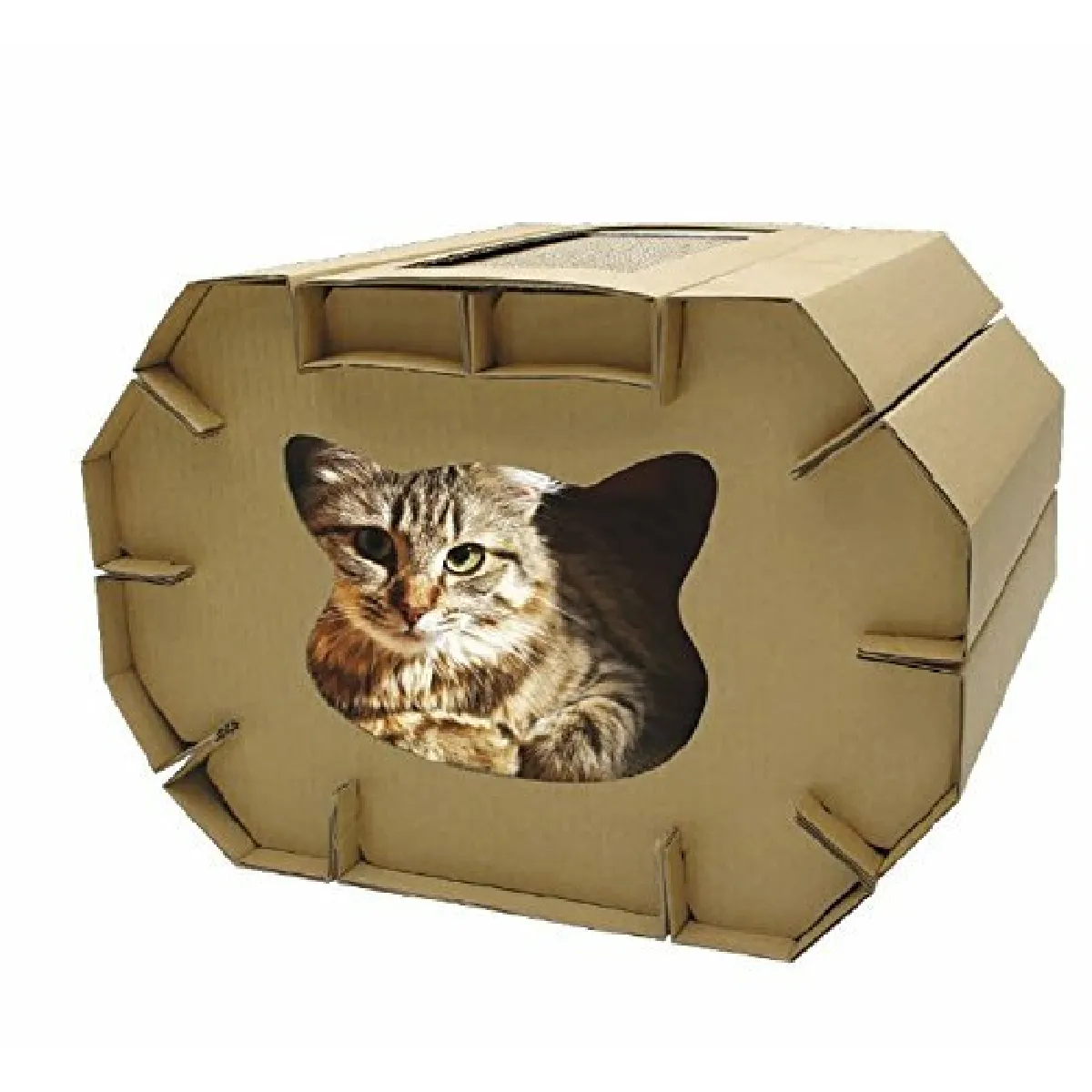 Meilleurs prix pour Croci Grattoir pour chat en carton, boite fermee avec griffoir reversible a 2 couches, griffoir pour chats adultes, a deux niveaux, 50x38x35 cm