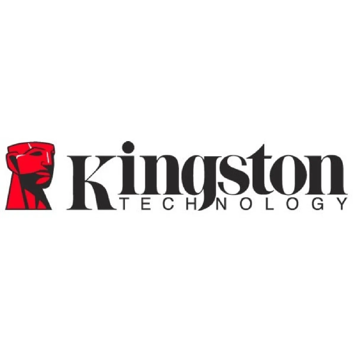 Kingston DataTraveler G4 - 16 Go