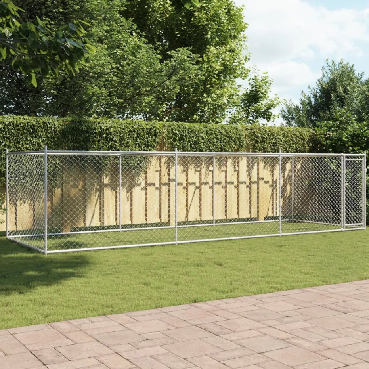 vidaXL Cage pour chien avec porte 6x2x1 5 - vue 2