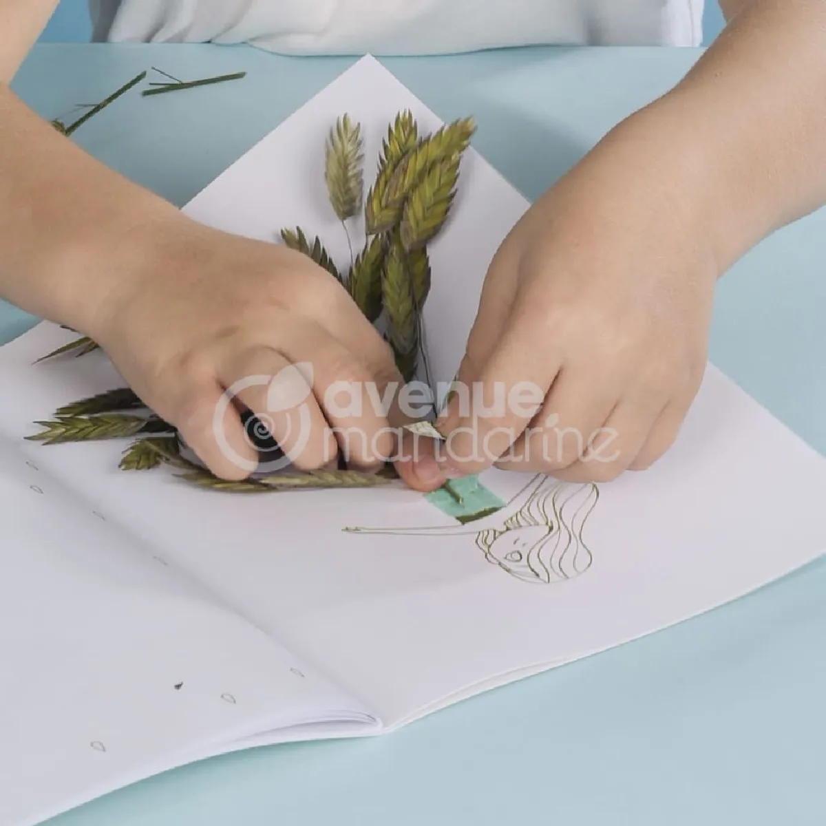 Avenue Mandarine Blanc Coffret Créatif Presse Fleurs Et Herbier - Image 4