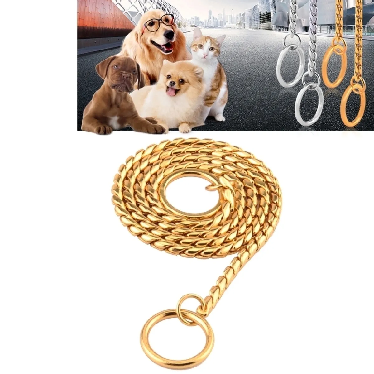 Meilleurs prix pour Collier Chien & Chat or pour animaux de compagnie sangle de cou de serpent chaîne de de de en métal solide longueur: 65cm Colliers