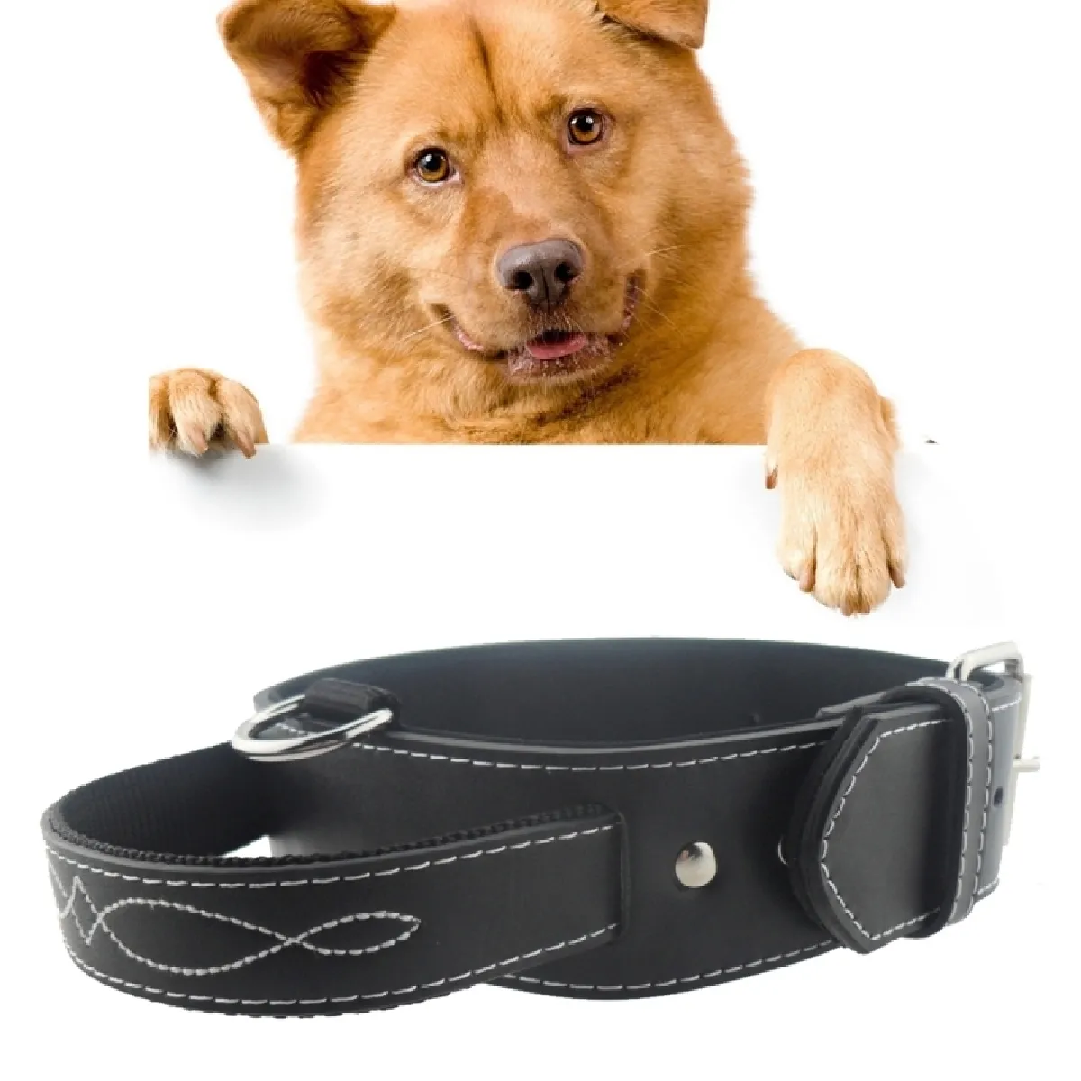 Meilleurs prix pour Collier Chien & Chat noir pour le grand animal familier, taille: 4.5 * 58.5cm Produits d'animal de compagnie de de en cuir