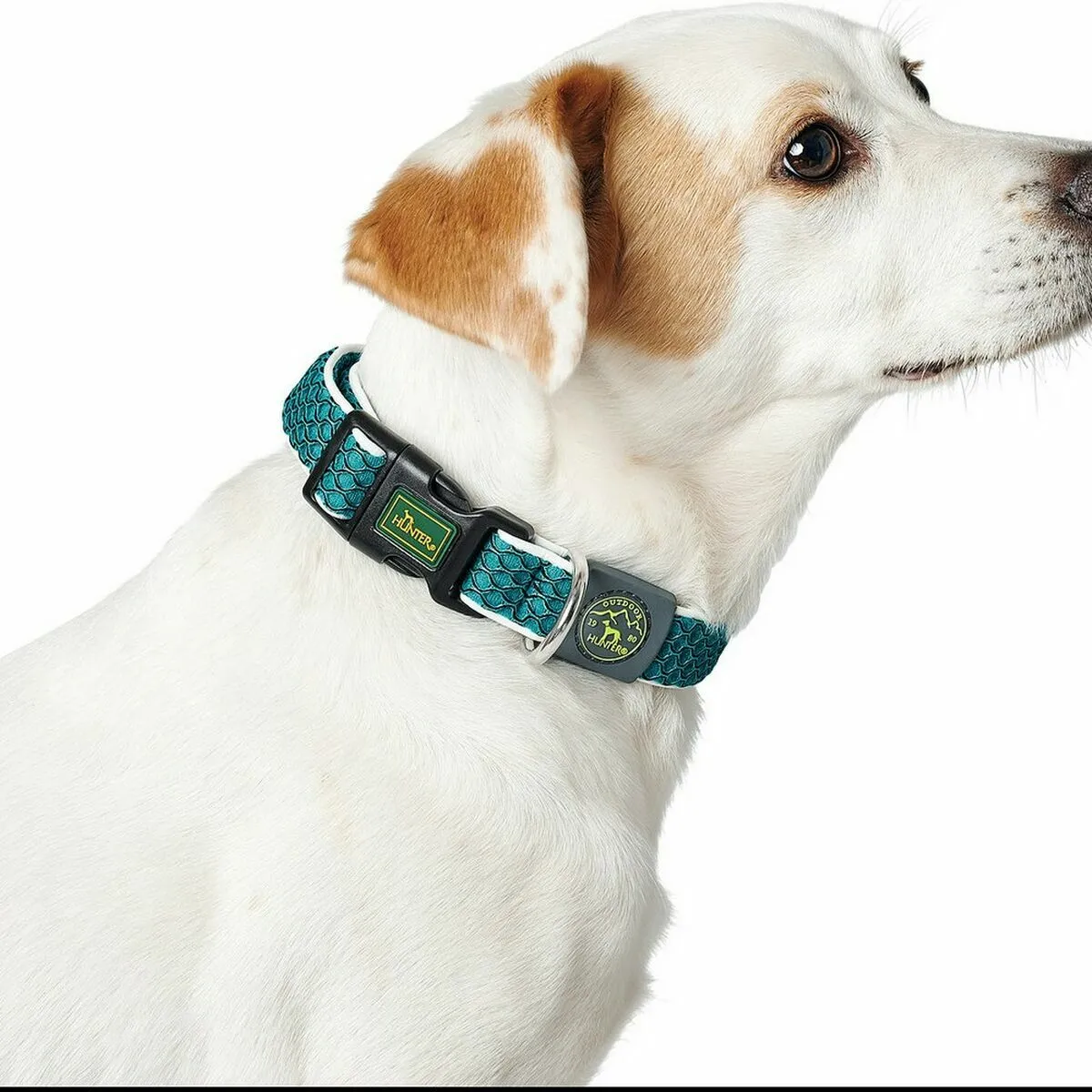 Collier pour Chien Hunter Love Rouge XS 24-28 cm