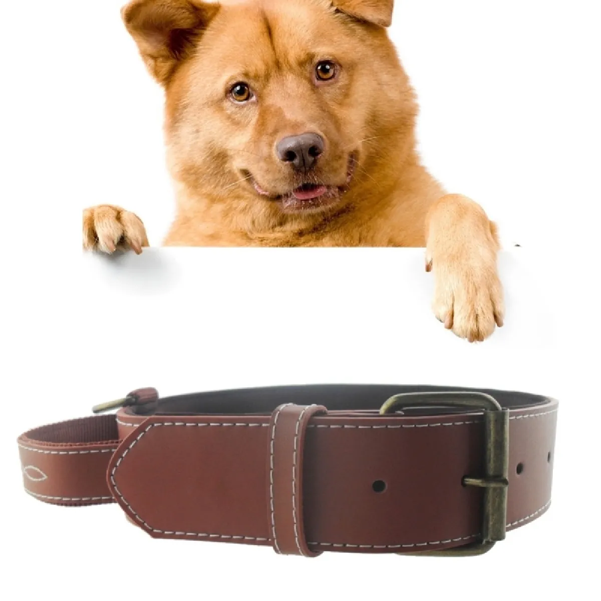 Meilleurs prix pour Collier Chien & Chat café pour le grand animal familier, taille: 4.5 * 68.5cm Produits d'animal familier de de en cuir