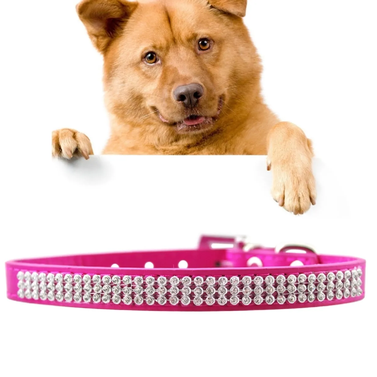 Comparer les prix de Collier Chien & Chat Magenta Les produits d'animal familier de de clouté par diamant d'unité centrale, taille: S, 1.5 * 37cm