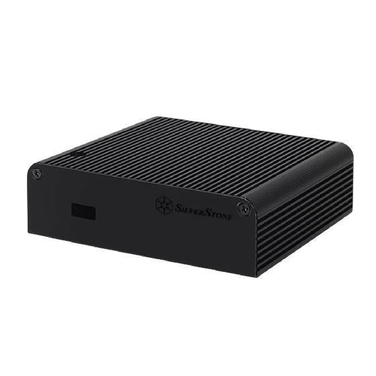 Silverstone Noir Petit Pt14