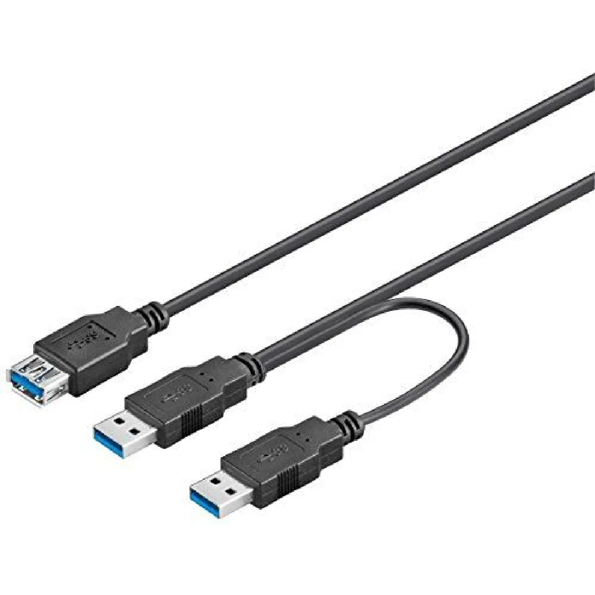 Wentronic Noir Goobay Usb 3.0 Y - 0.3 M