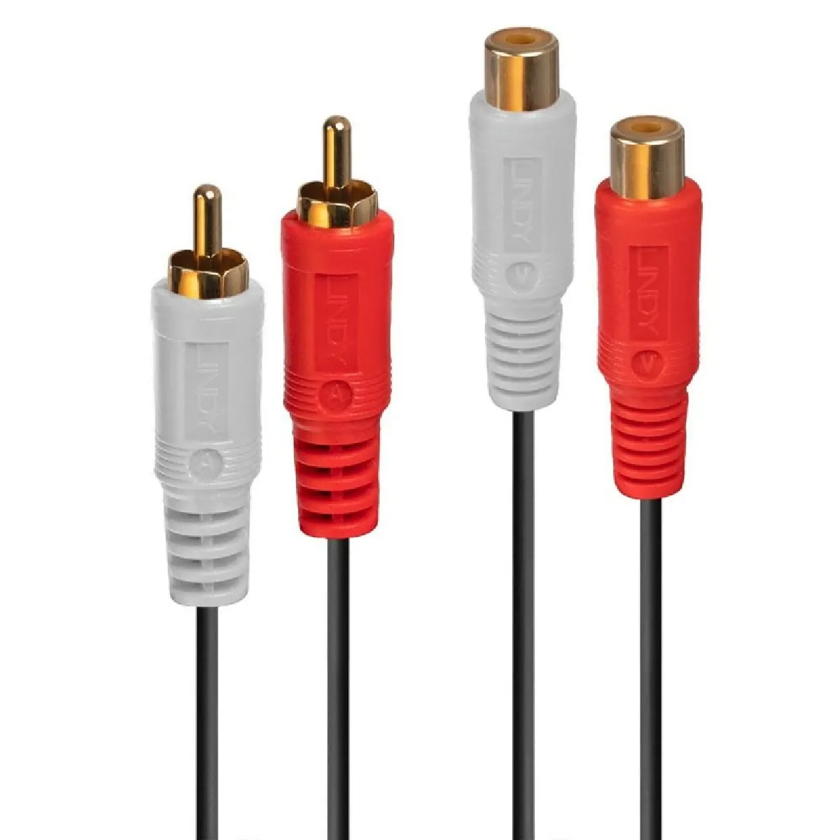 Lindy Premium Rallonge De Cable Audio 2 2M de Inmac Wstore - Image 4