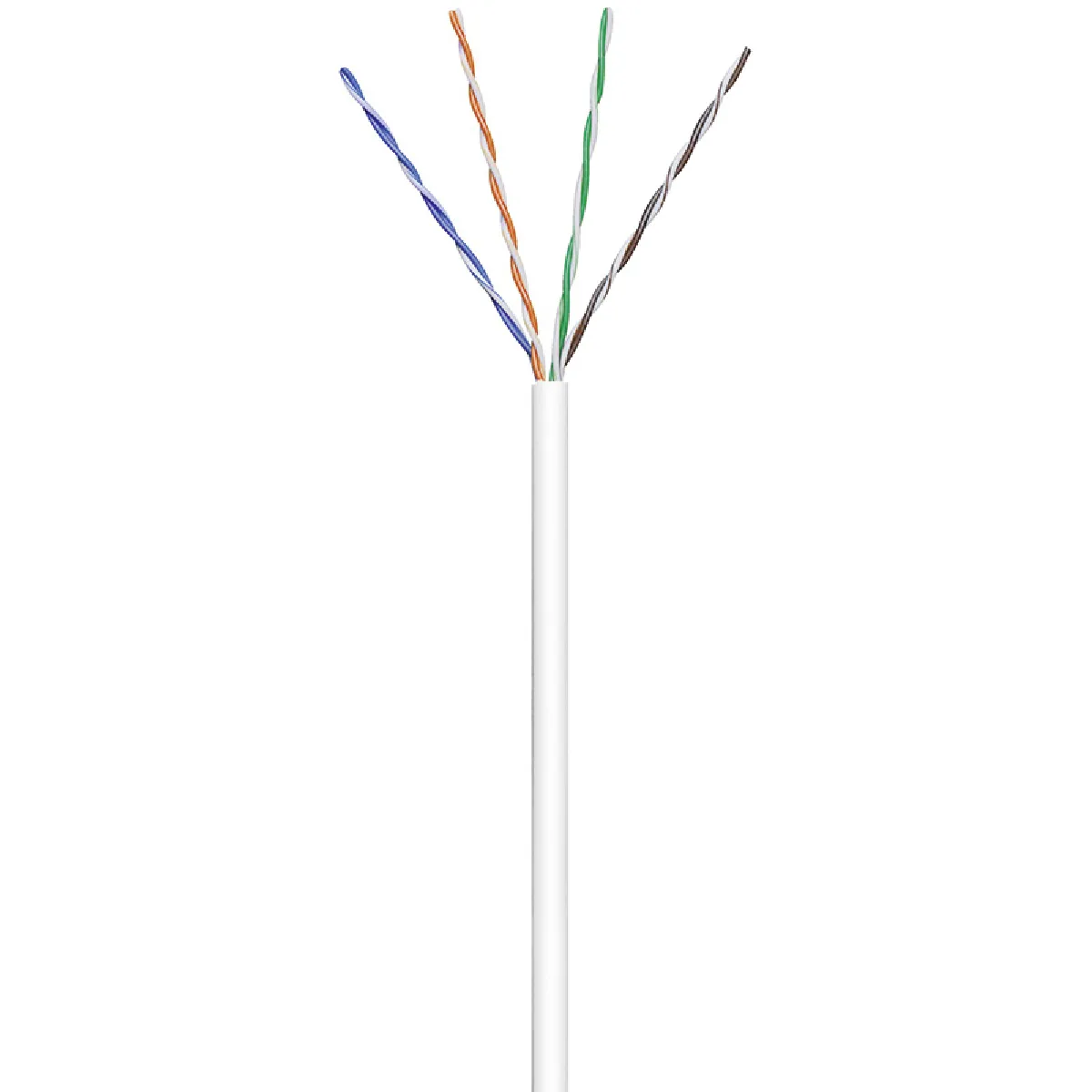 Goobay Câble Réseau Cat6 - 100 M