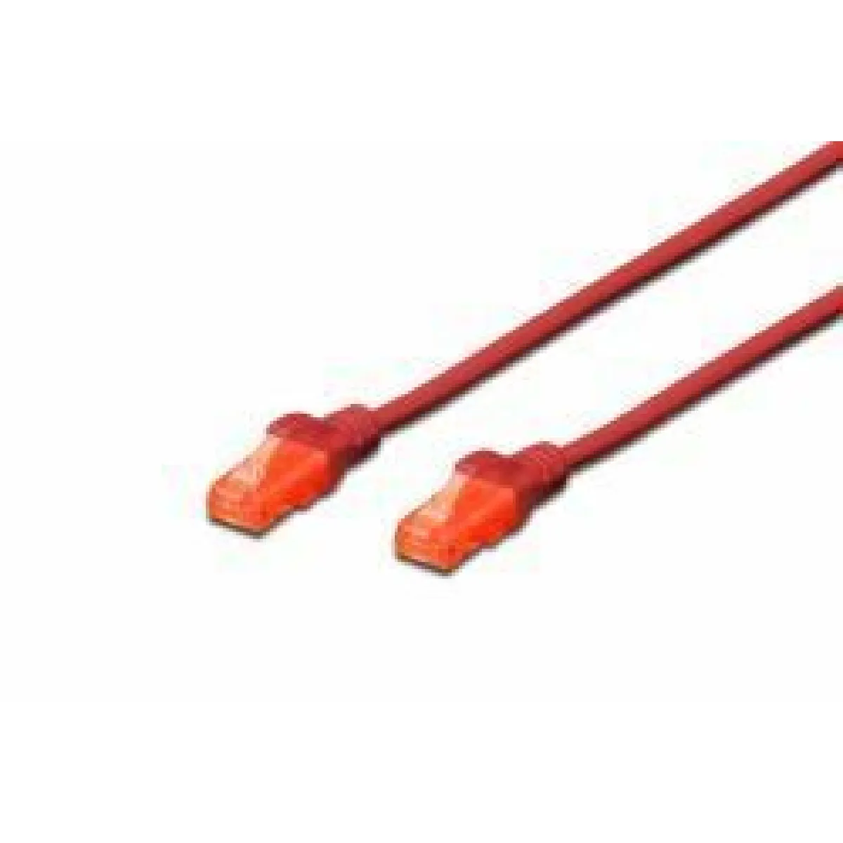 Digitus Gris 5M Cat6 U-Utp Câble Réseau