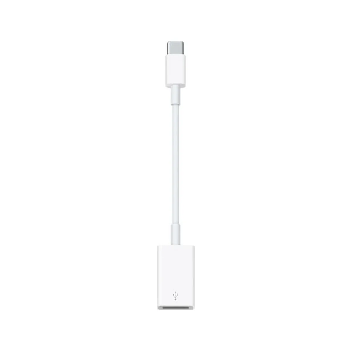 Apple Adaptateur USB C vers USB - vue 7