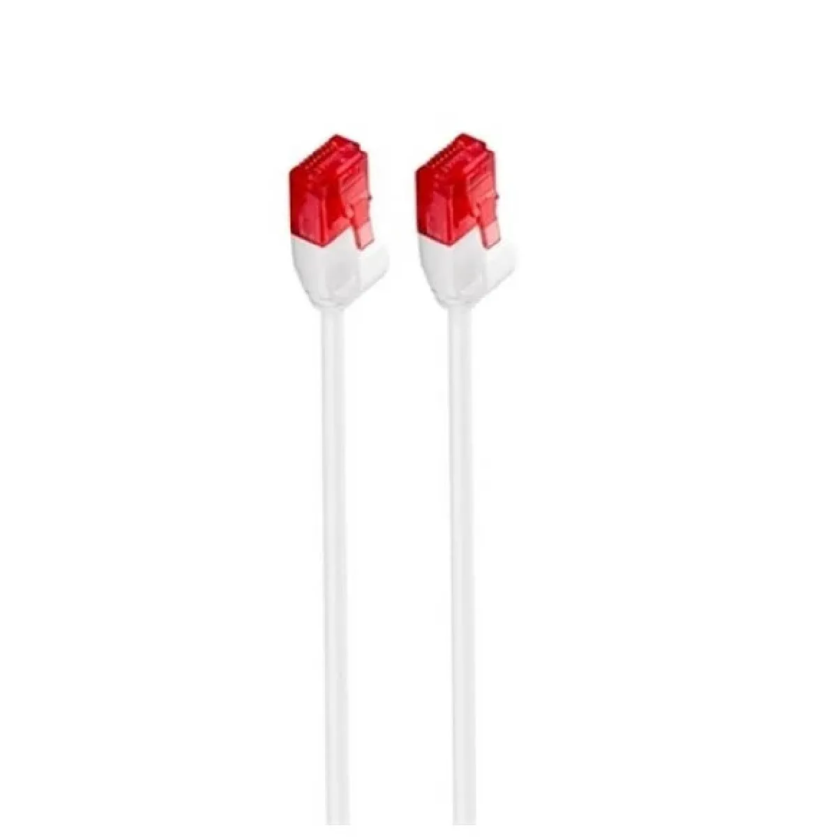 Ewent Blanc Câble Réseau Cat6