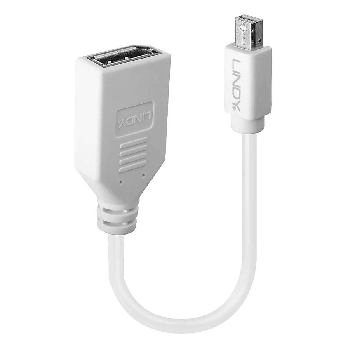 Lindy Blanc 41021 Displayport Cable