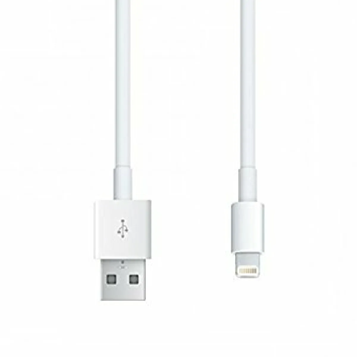 Apple Câble Lightning 1M