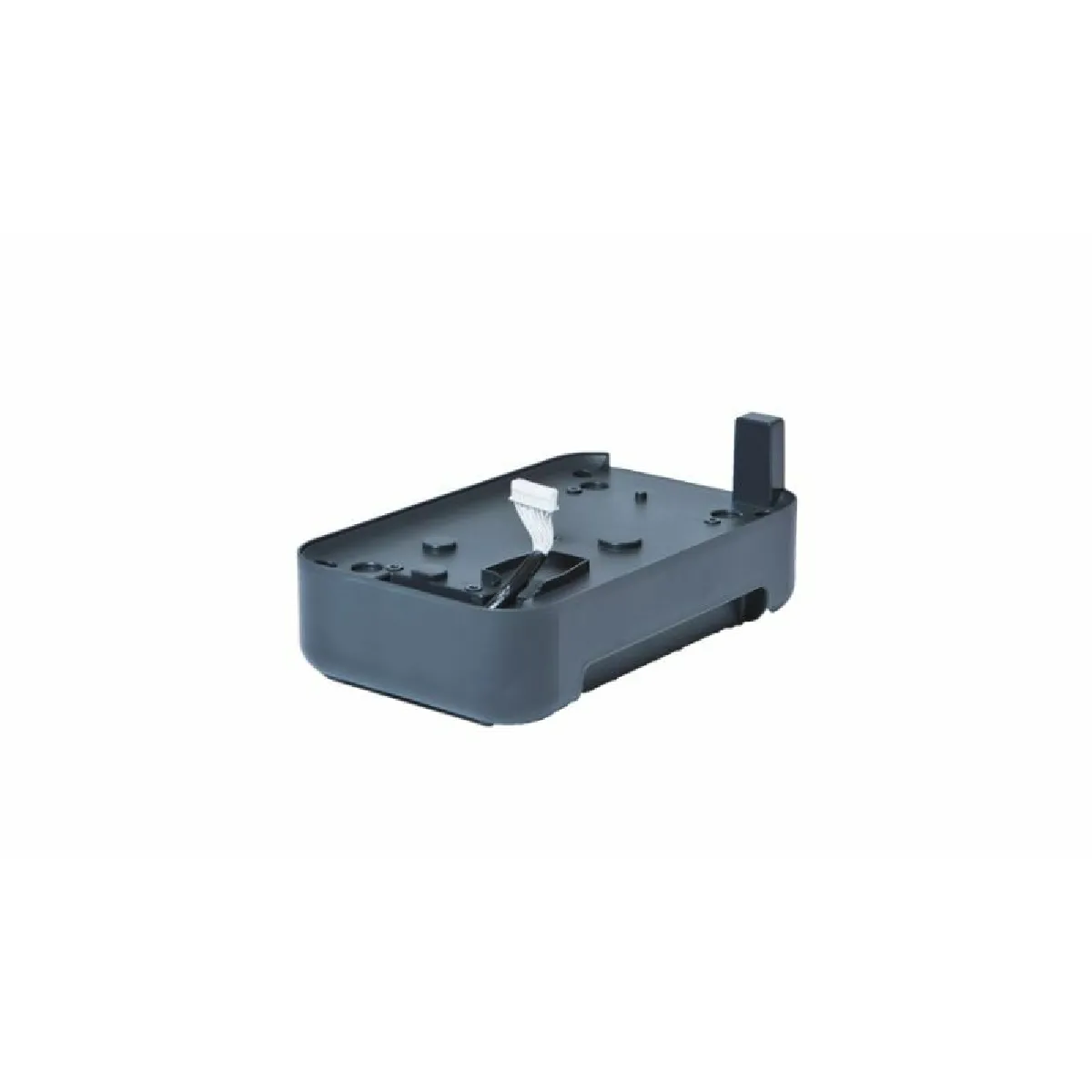 Brother PA BB 002 kit pour PT P900WPT P950NW