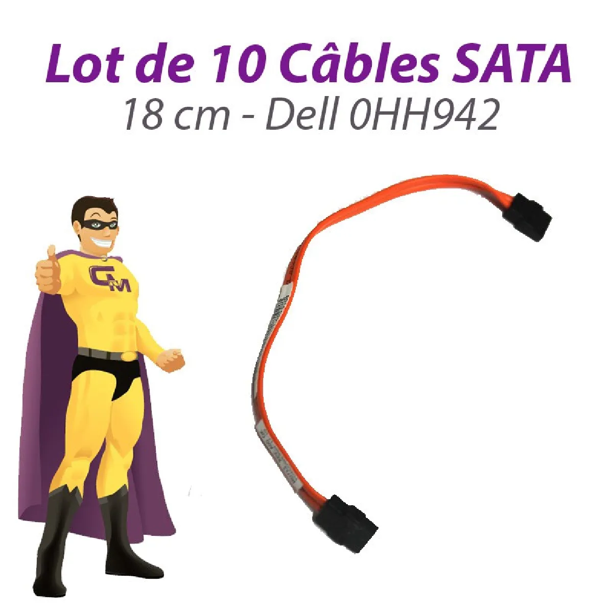 Lot de 10 Câbles SATA 18 cm