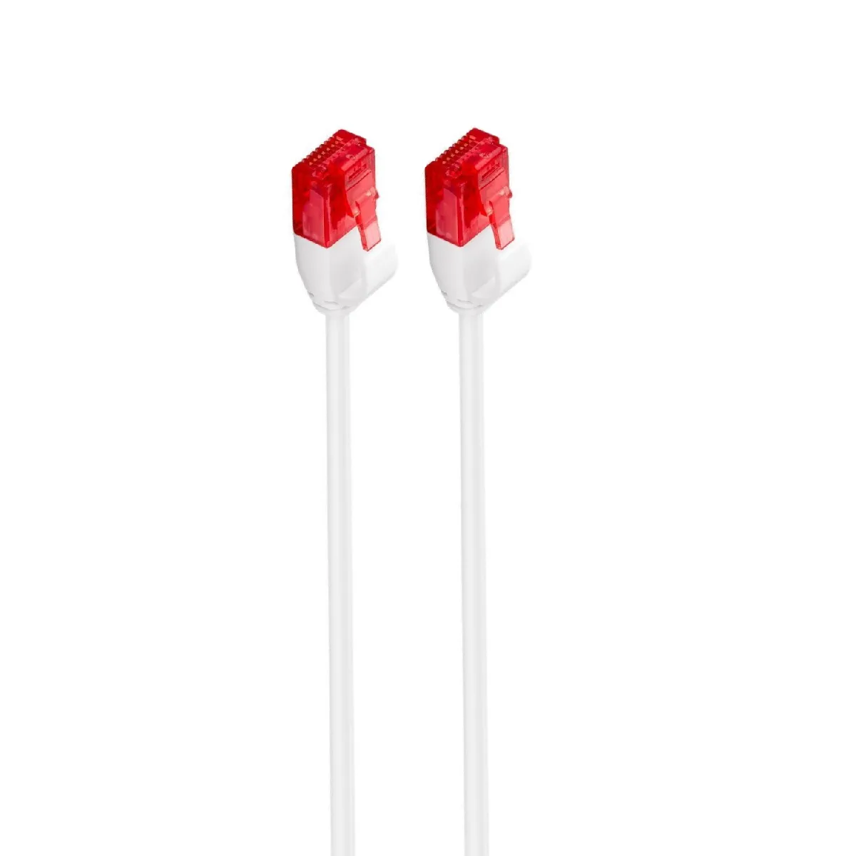 Ewent Blanc Im1035 Câble De Réseau 0,25 M Cat6 U/Utp (Utp) - Neuf - Image 3