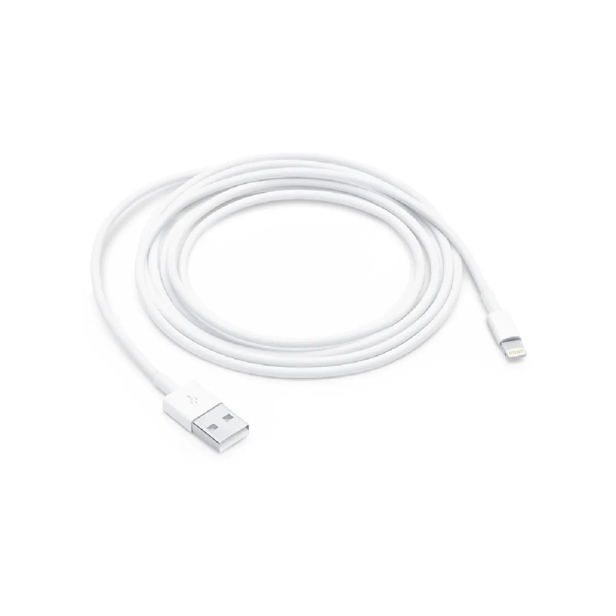 Apple Câble Lightning vers USB A 2