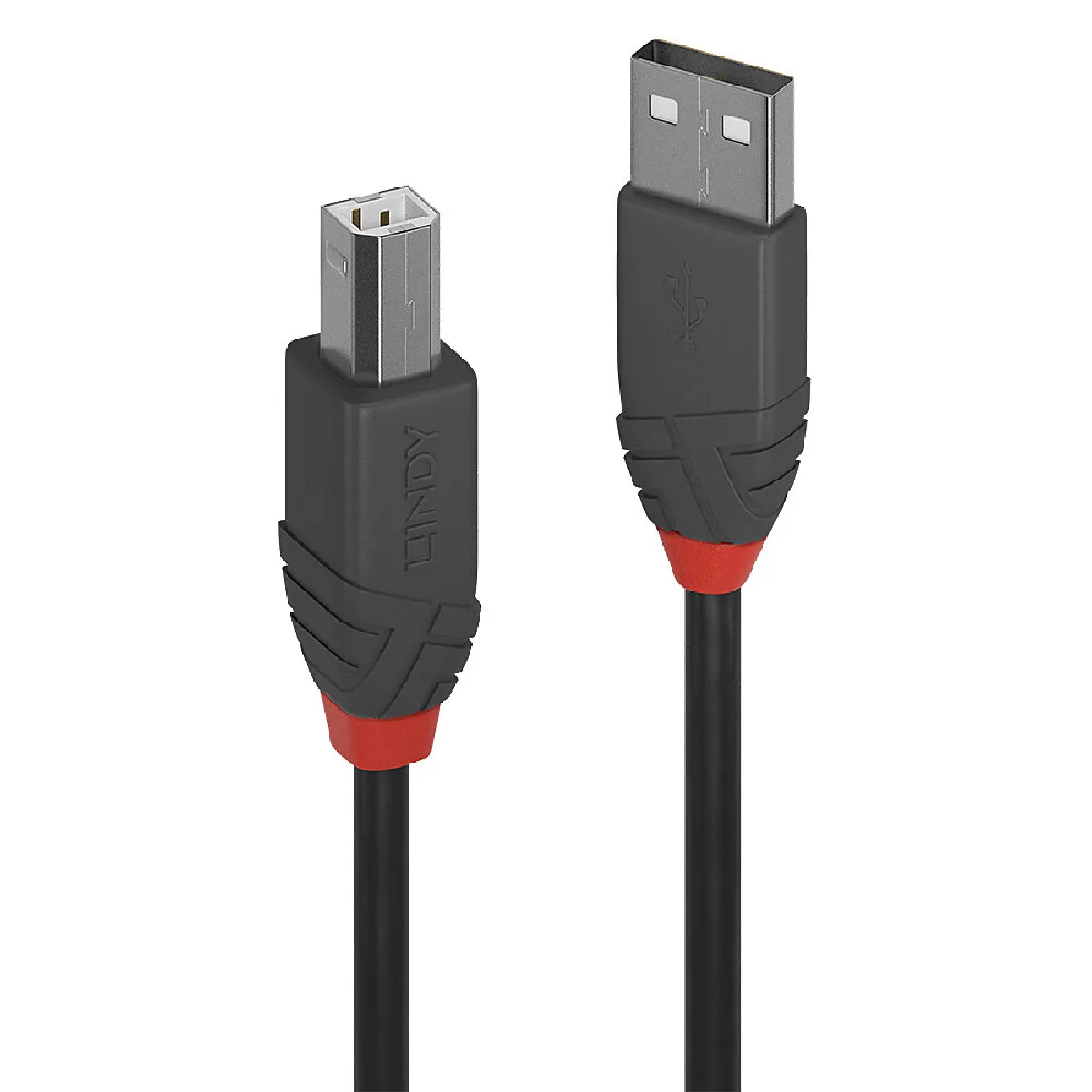 Lindy Anthra Line Cable Usb Usb Pour Usb Type B 1 1M de Inmac Wstore - Image 4