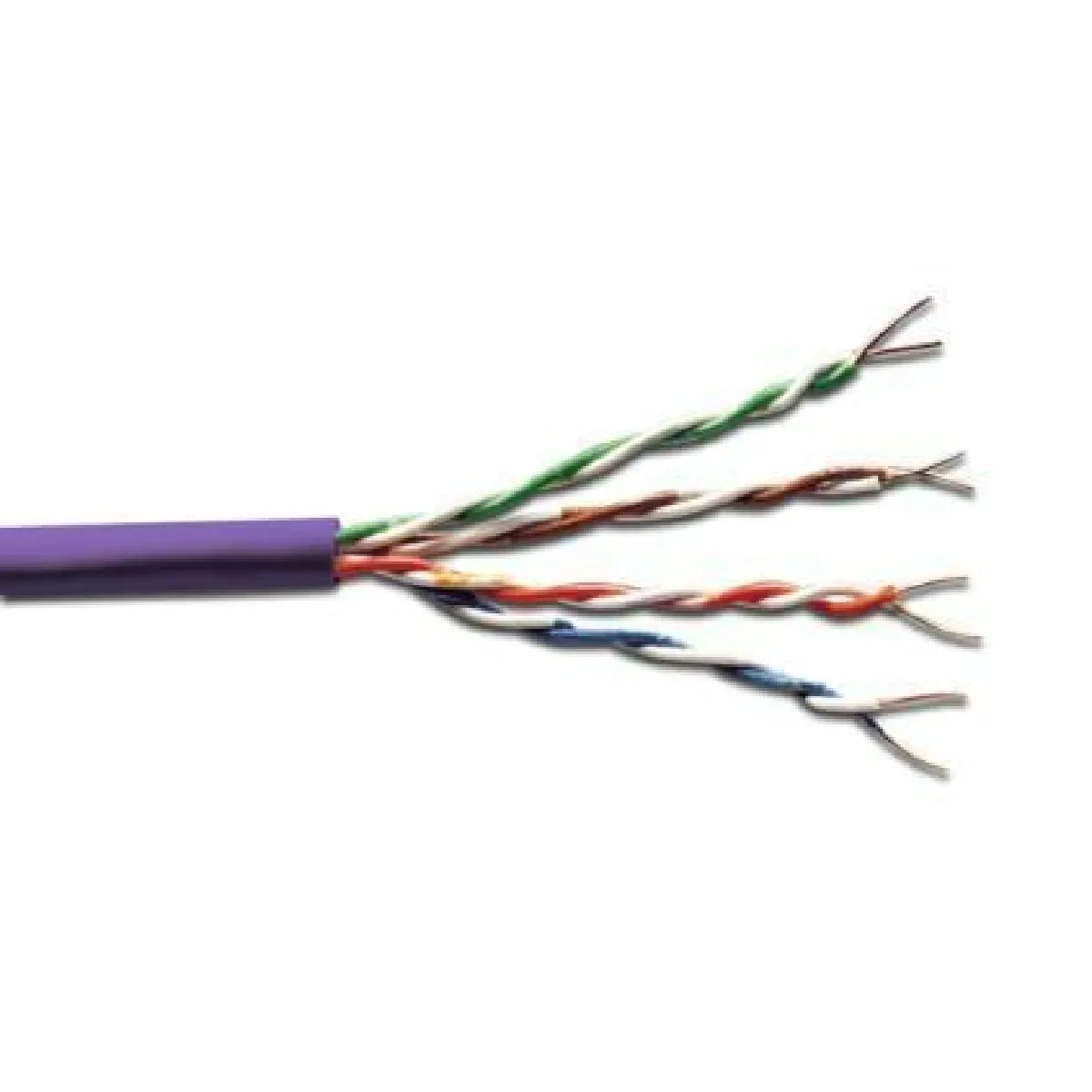 Digitus Violet Câble Réseau Cat 6 - 100 M