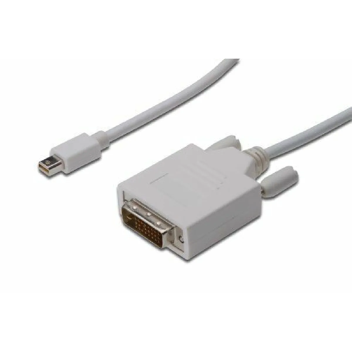 Digitus Blanc Câble Adaptateur Mini Displayport Vers Dvi - 2 M