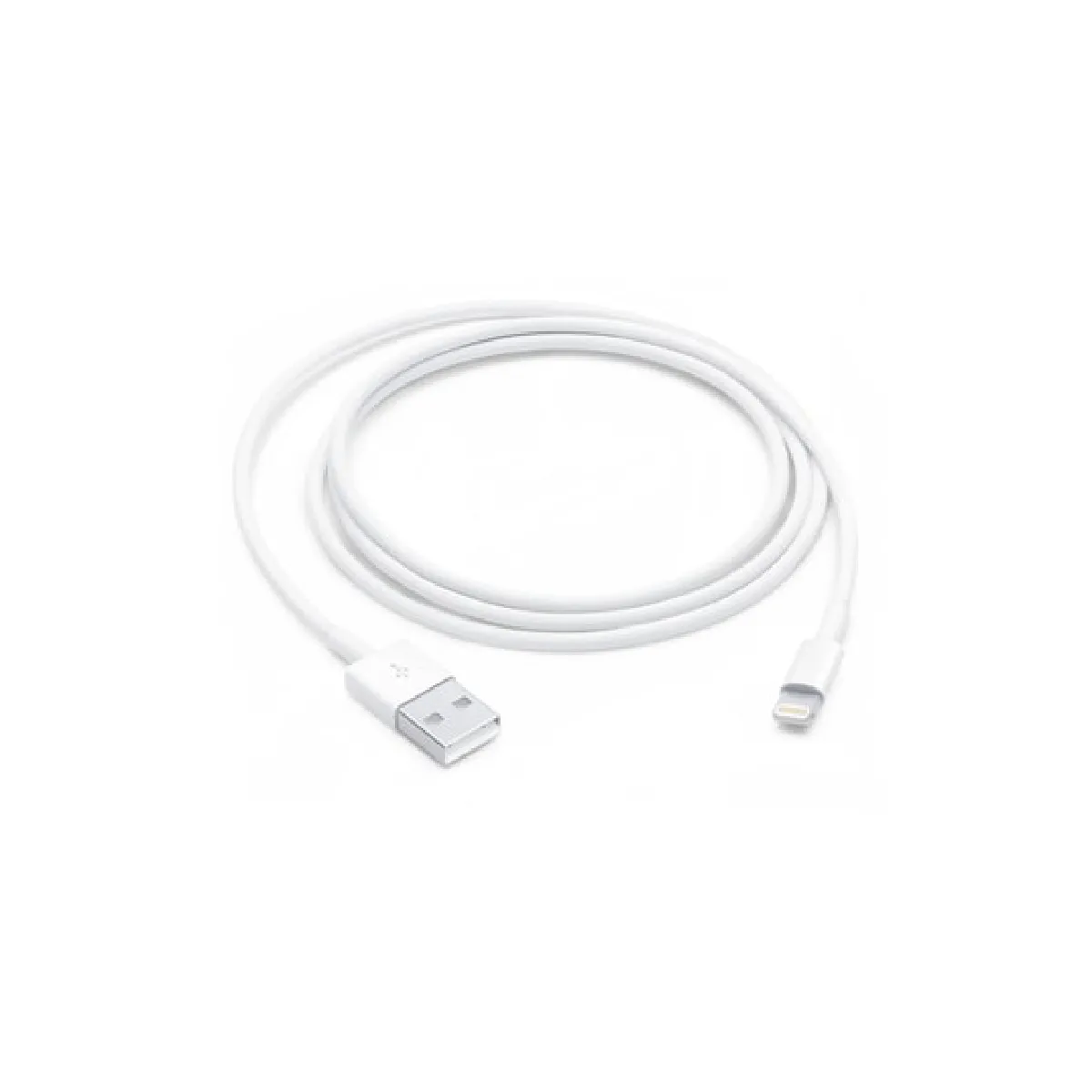 Apple USB Lightning to USB 1m