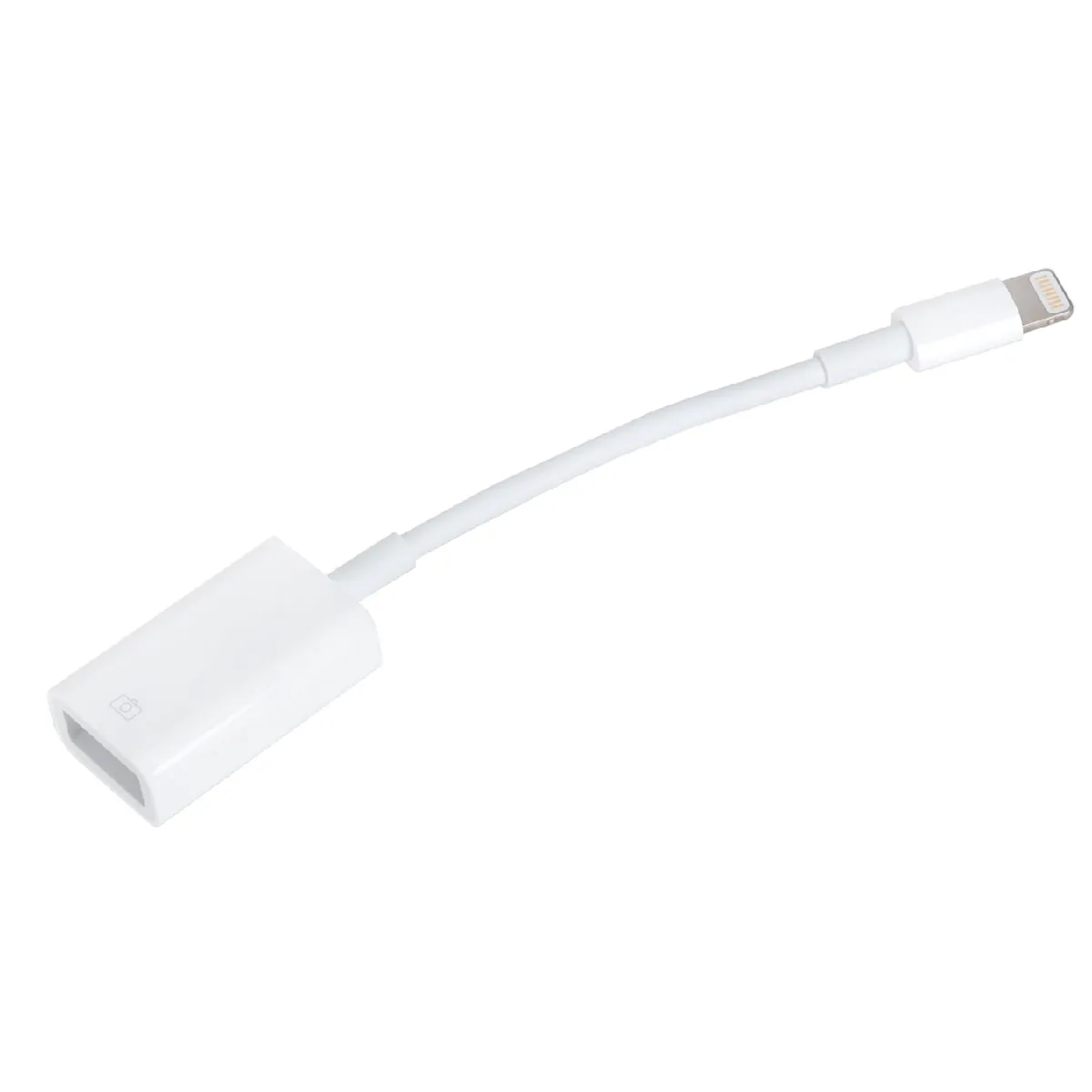 Adaptateur Lightning vers USB pour iPad Retina / iPad mini / iPad Air - vue 2