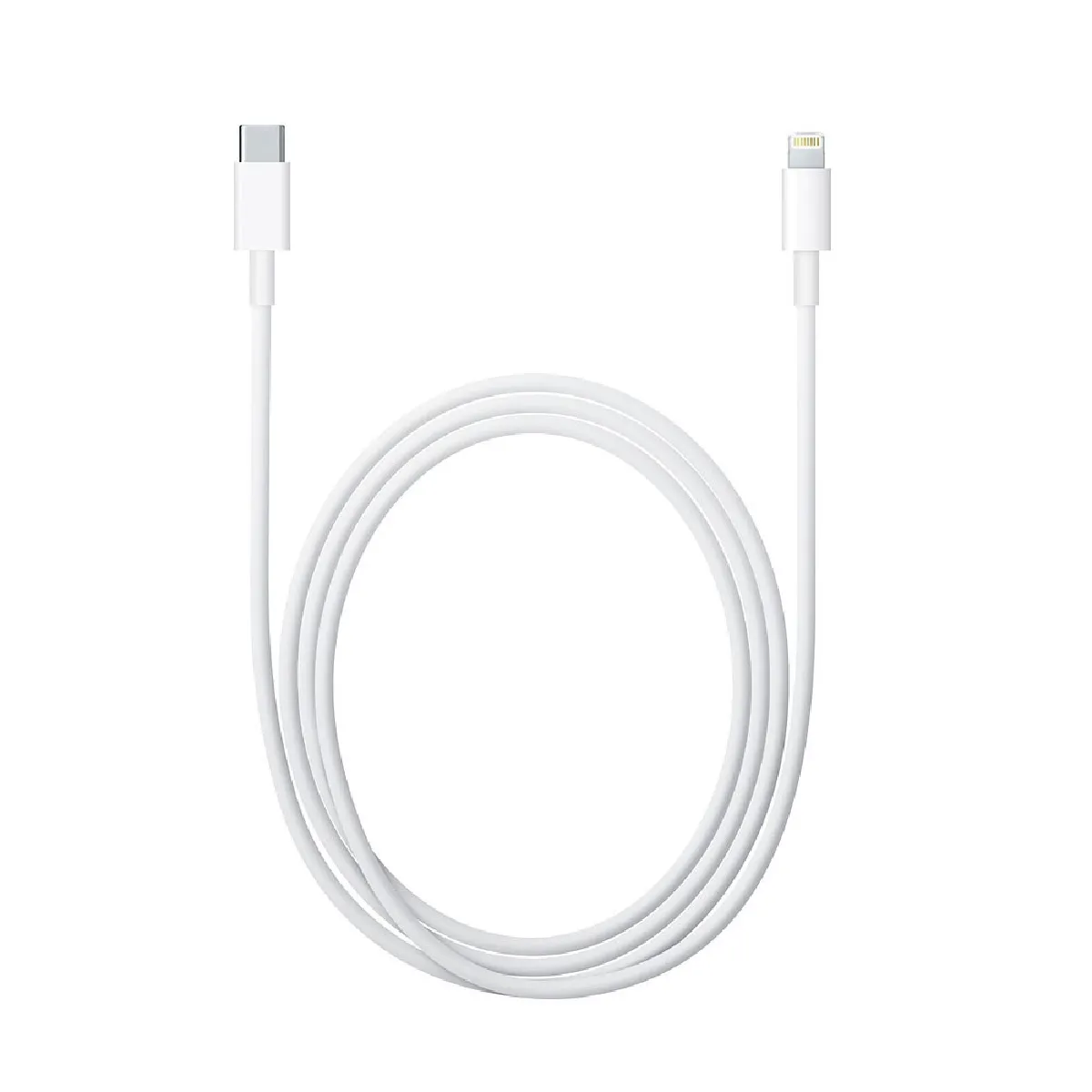 Apple Câble USB C Lightning 1