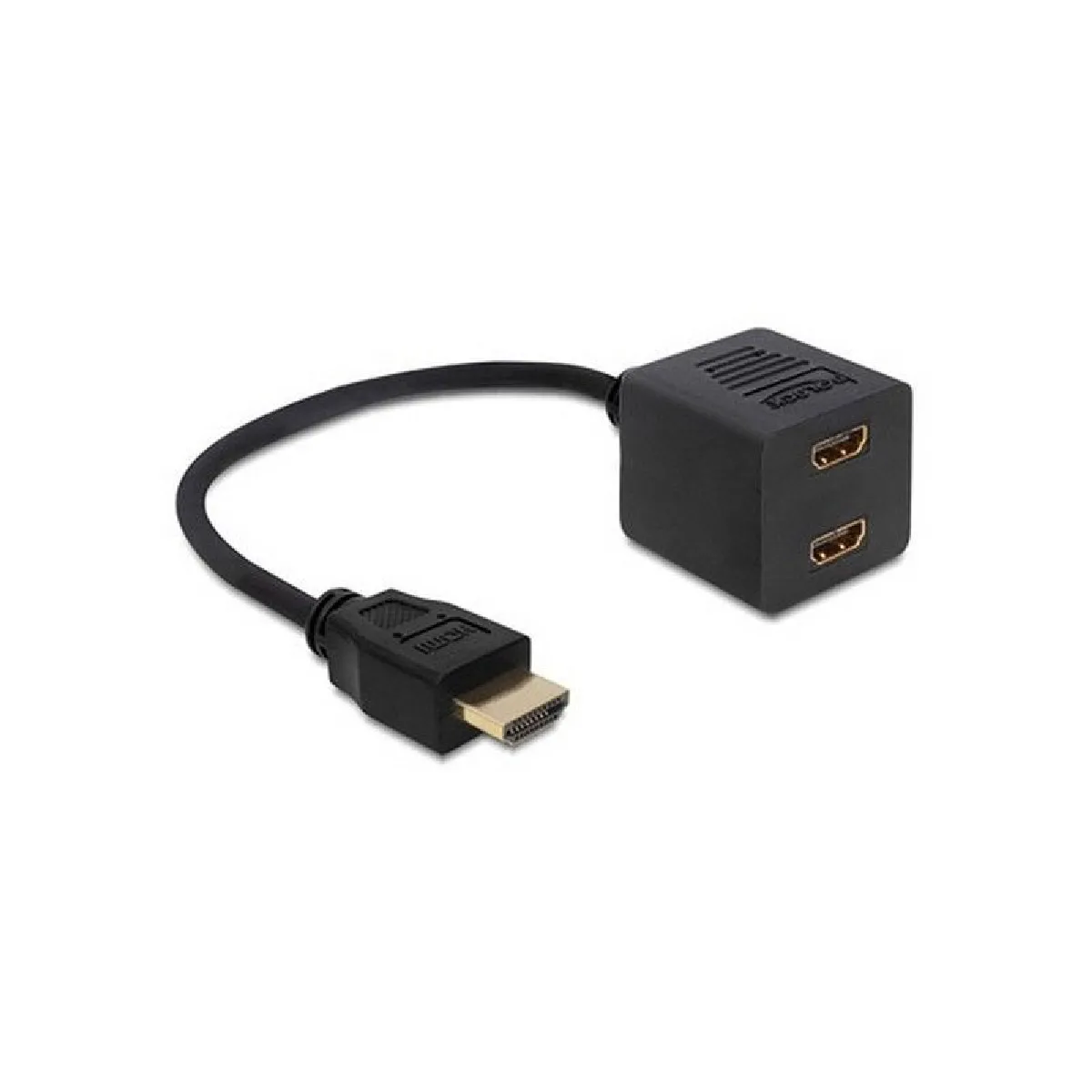 Delock Noir Adaptateur Hdmi