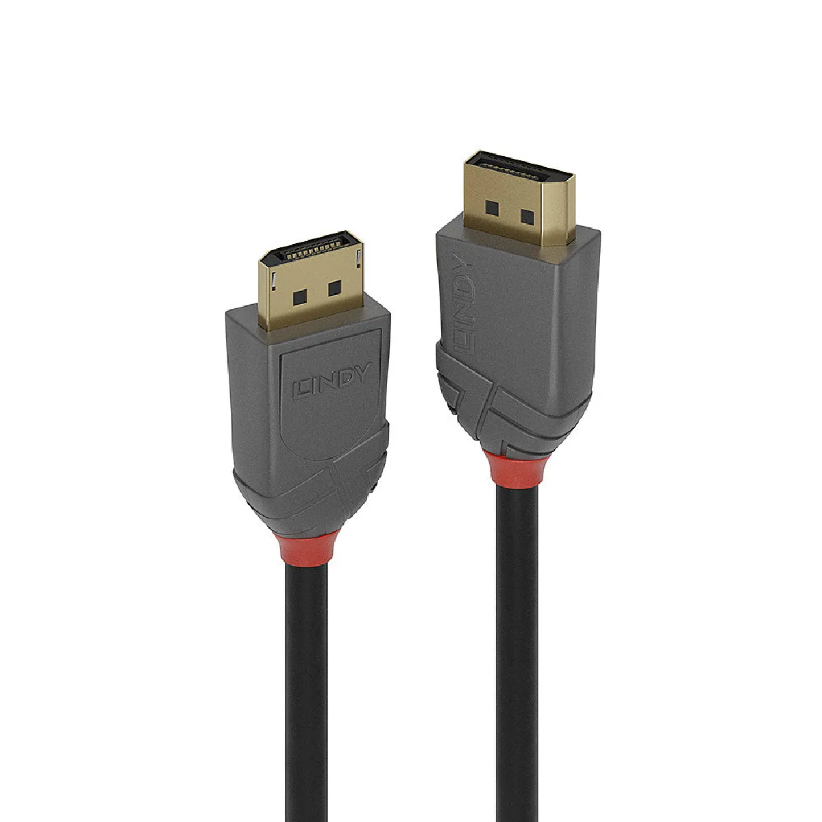 Lindy Noir Câble De Raccordement Displayport Fiche Mâle Displayport, Fiche Mâle Displayport 5.00 M 36484 Câble Displayport - Image 2