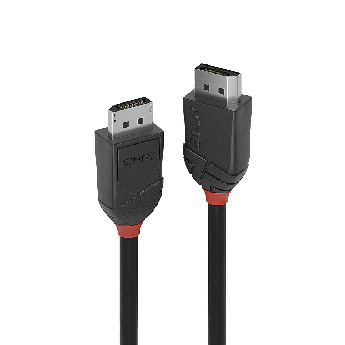 Lindy - Câble DisplayPort 1.2 - Mâle vers Mâle - 2 m - Noir - Image 3