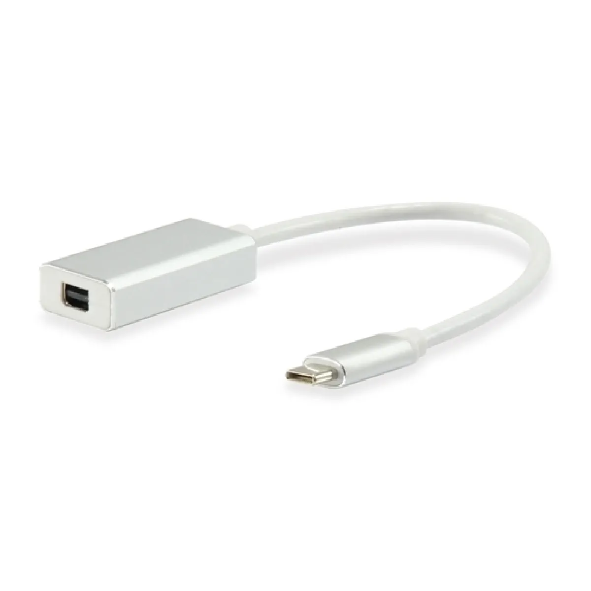 Générique Blanc Adaptateur Usb-C Vers Mini Displayport - 0,15 M