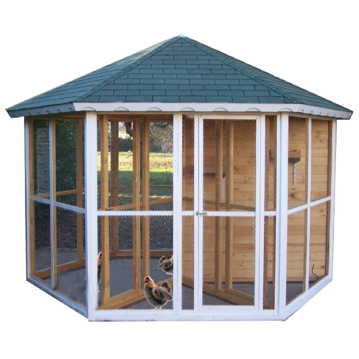 Meilleurs prix pour Volière taille XXL 9.6 m2, Foresta