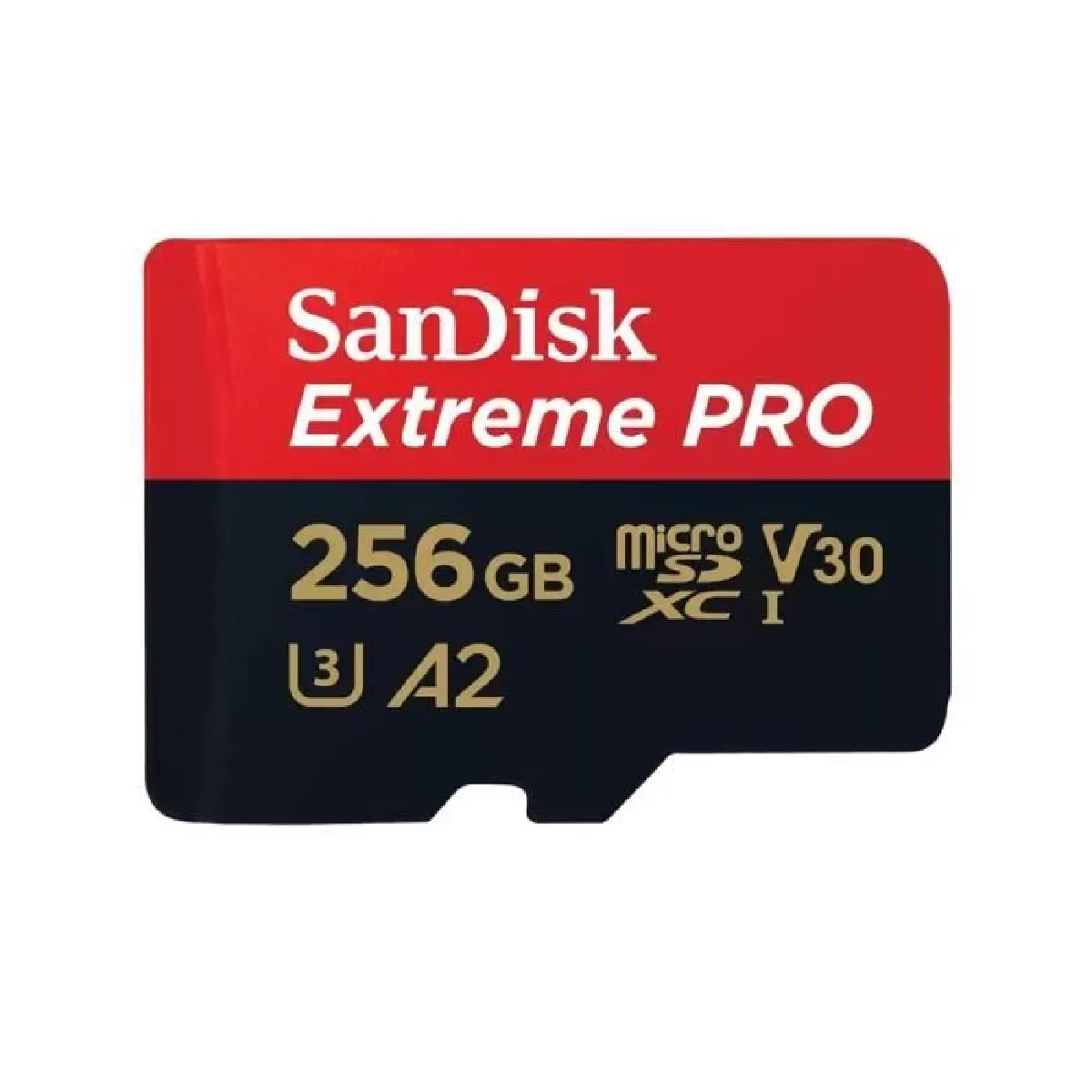 SanDisk Extreme Pro - 256 Go