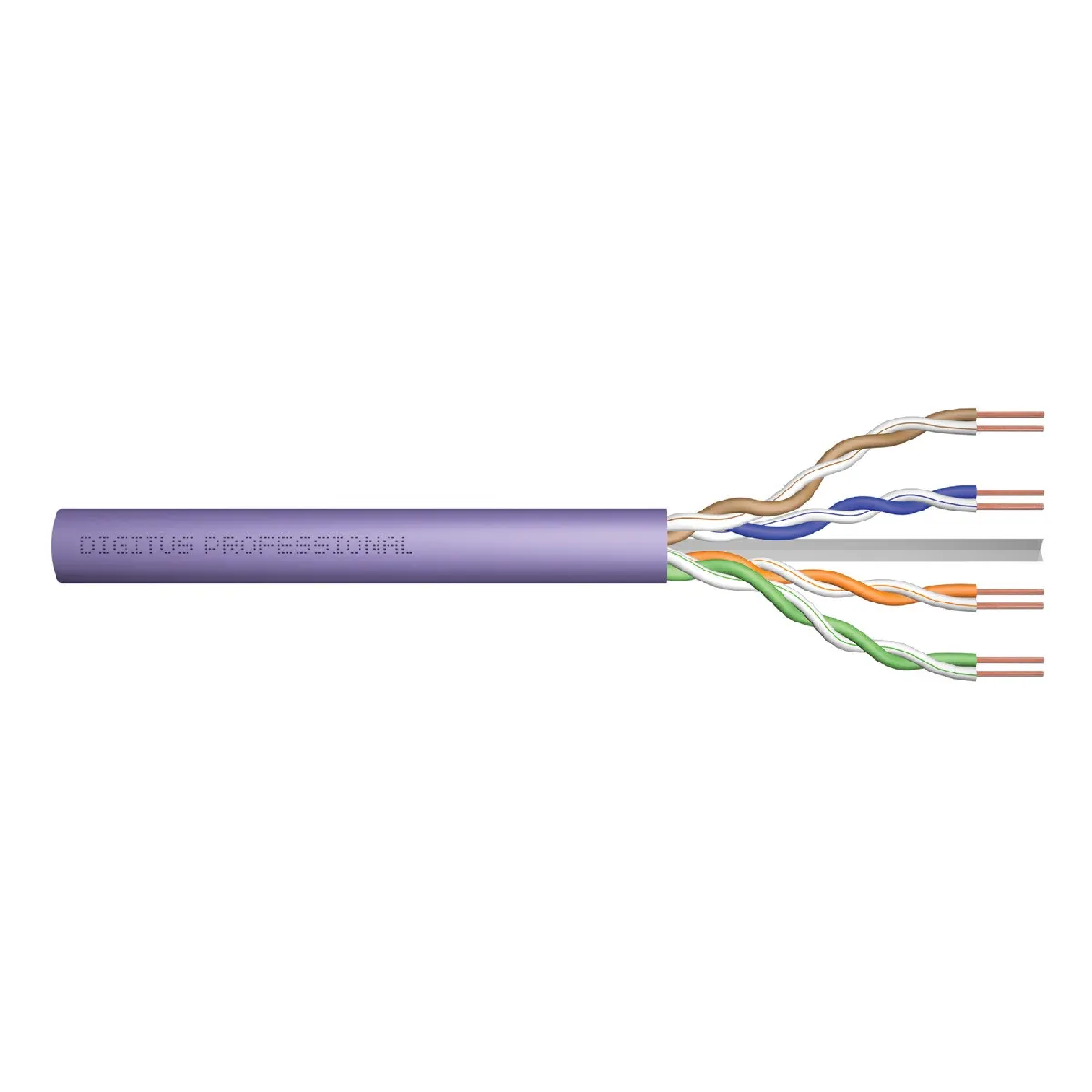 Digitus Violet Câble Réseau Cat.6 - 305 M