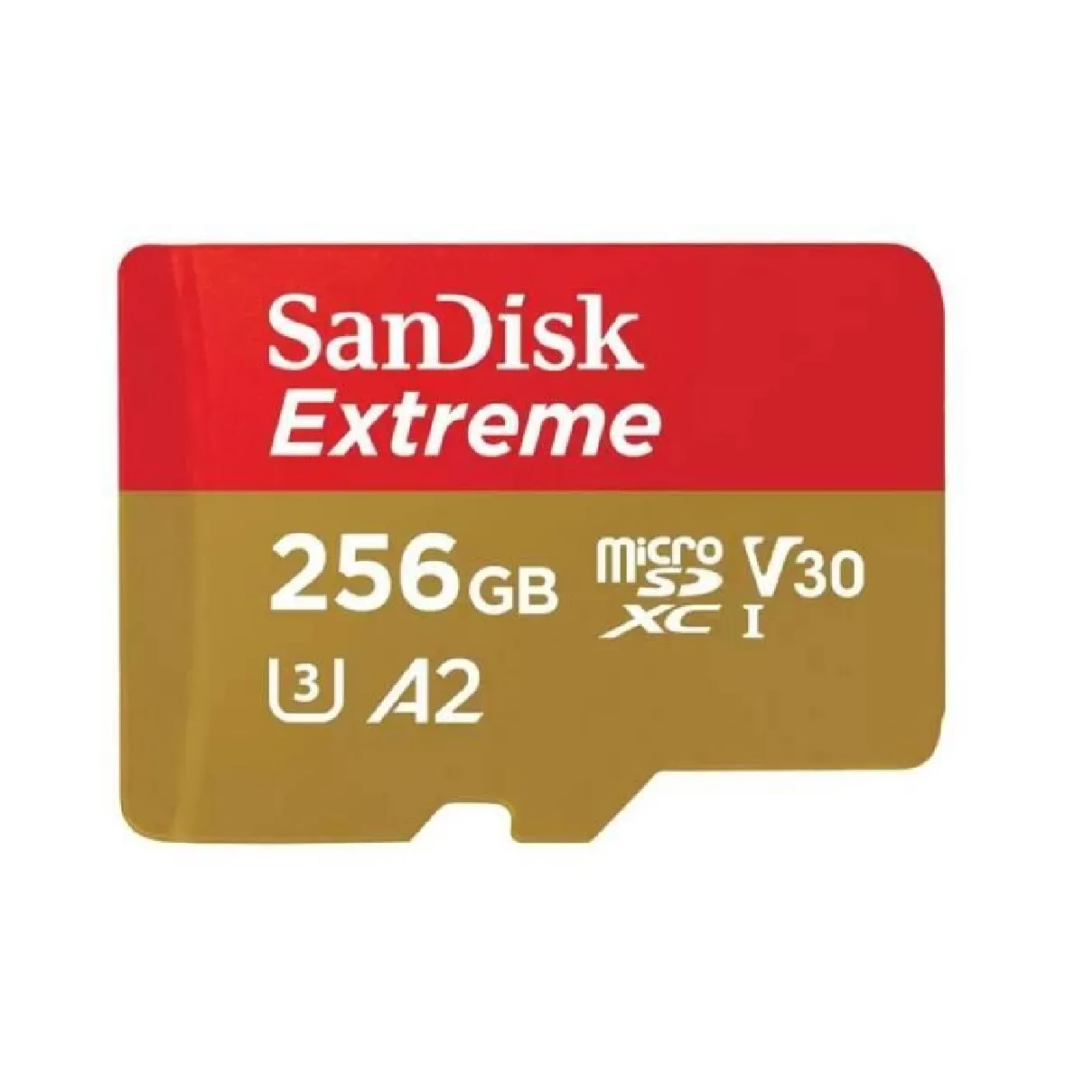 SanDisk Extreme MicroSDXC - 256 Go