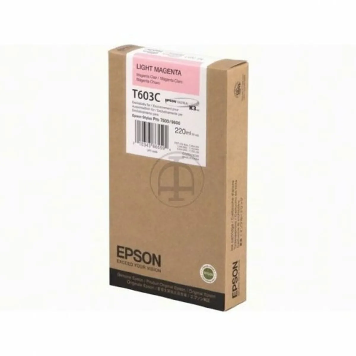 Epson C13T603C00