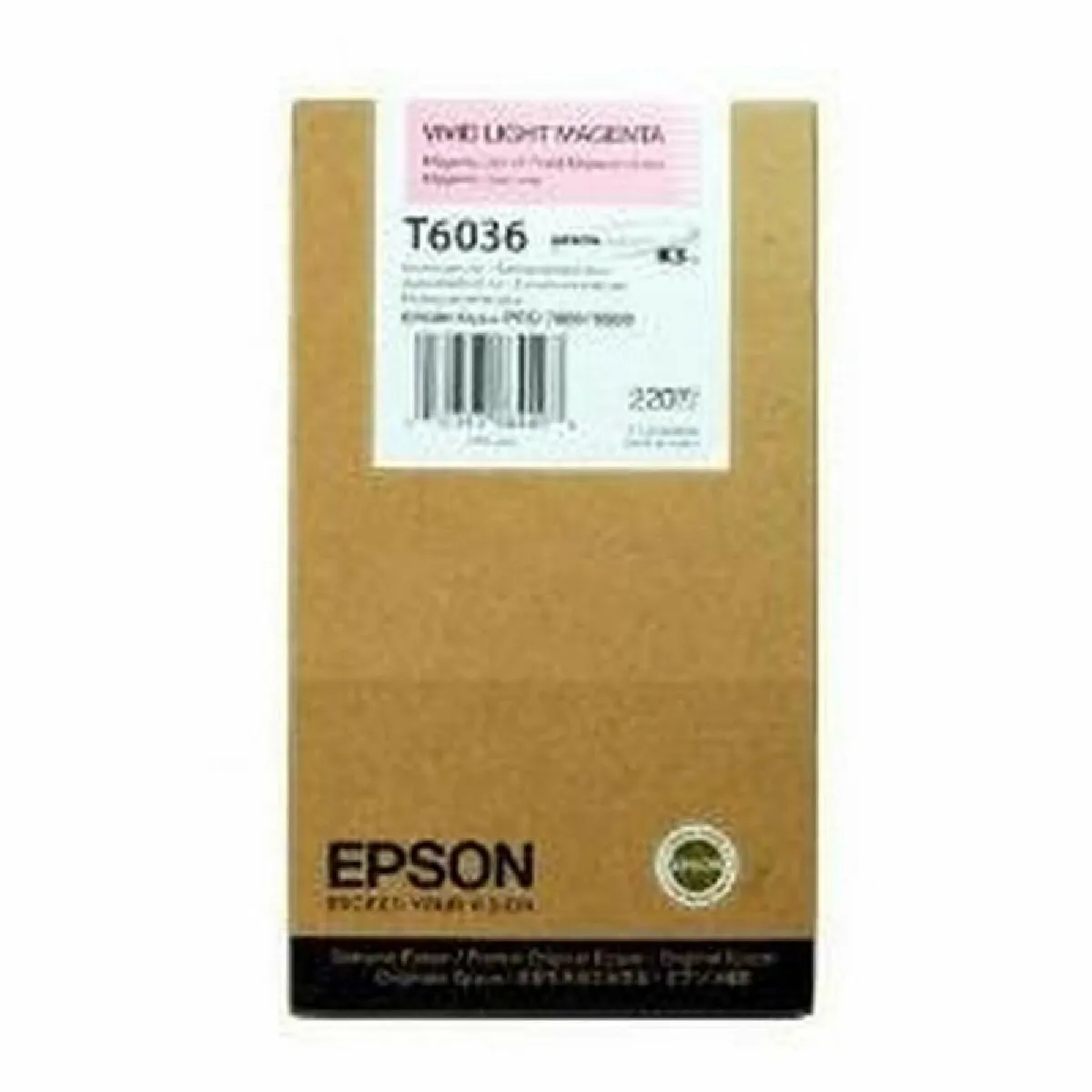 Epson C13T603600