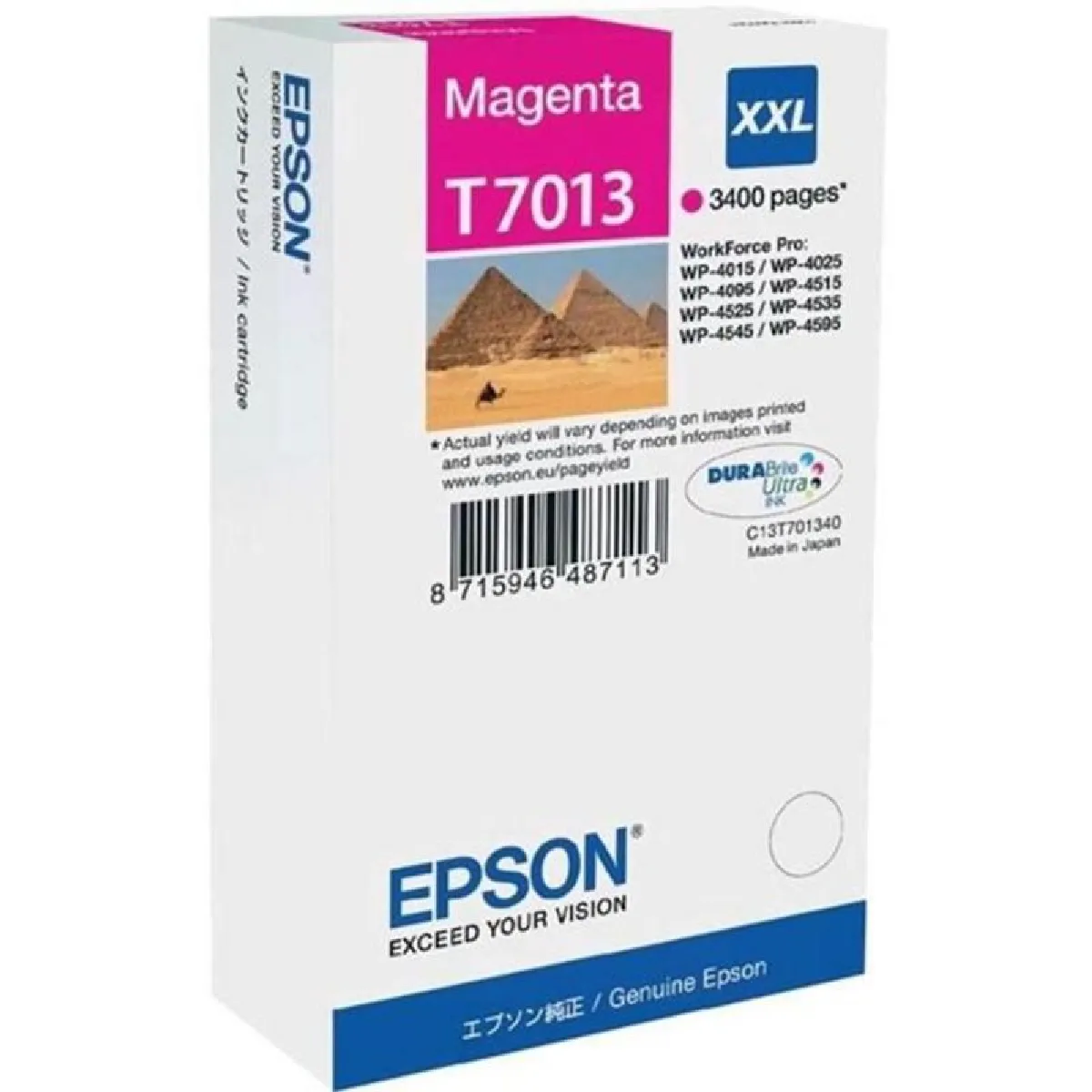 Epson T6710