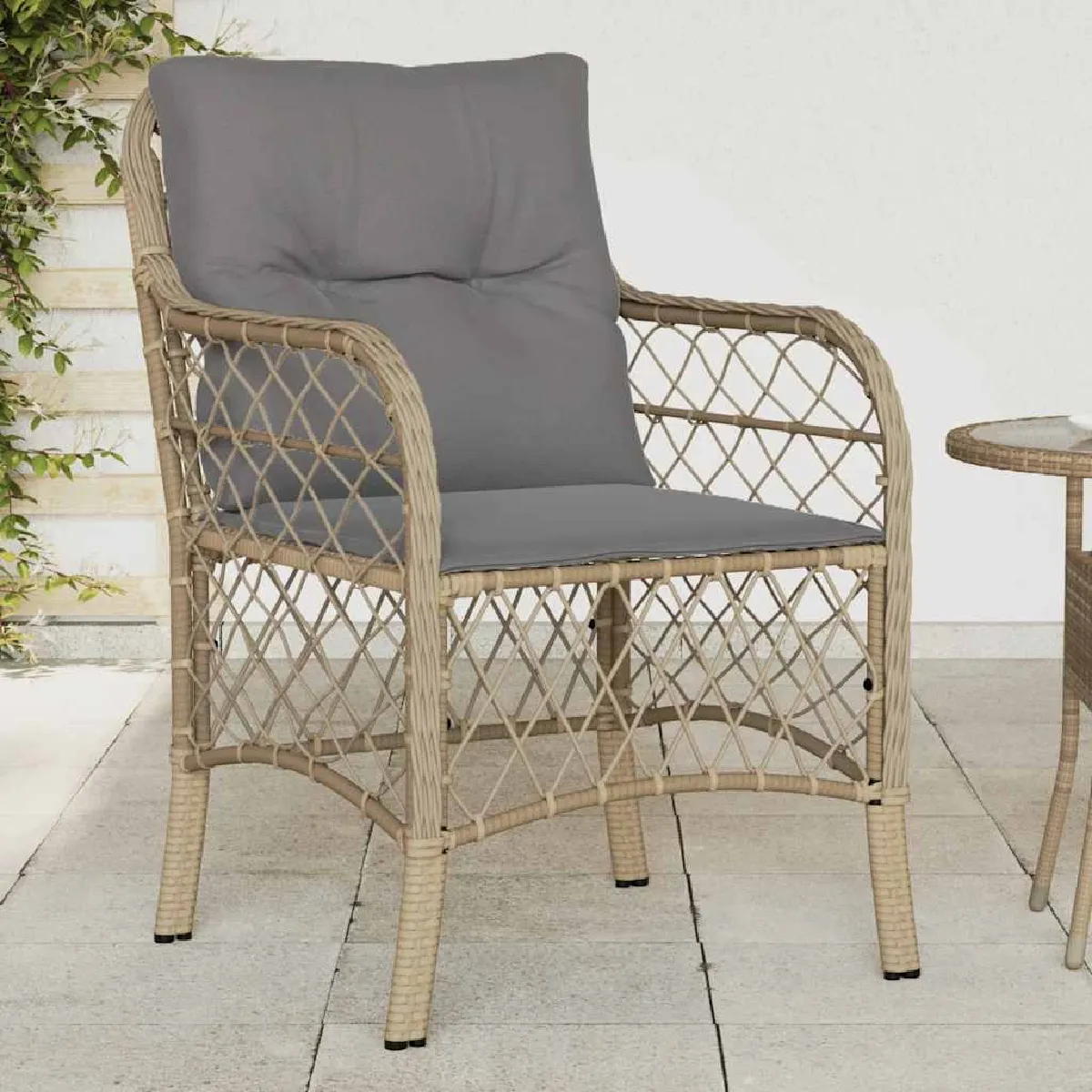 vidaXL Chaises de jardin avec coussins lot de 2