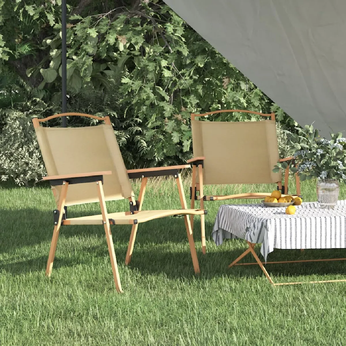 vidaXL Chaises de Camping
