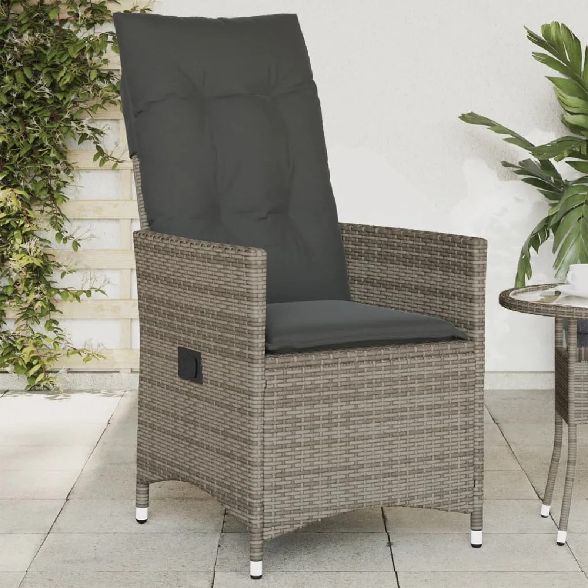 vidaXL Chaise inclinable de jardin avec coussins