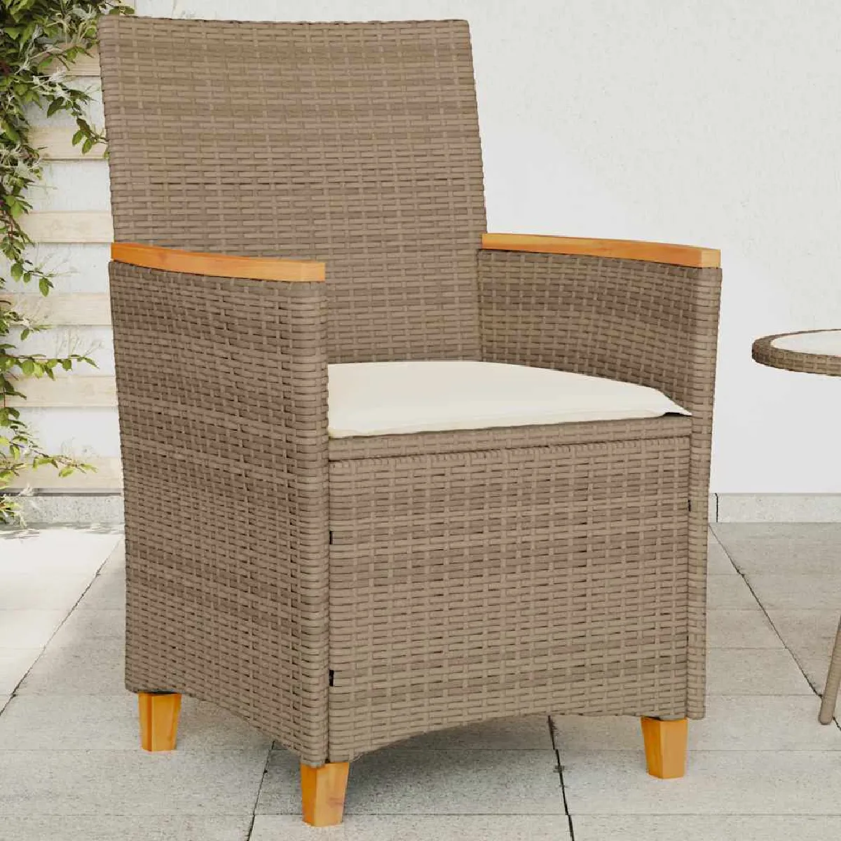 vidaXL Chaises de jardin - Lot de 2