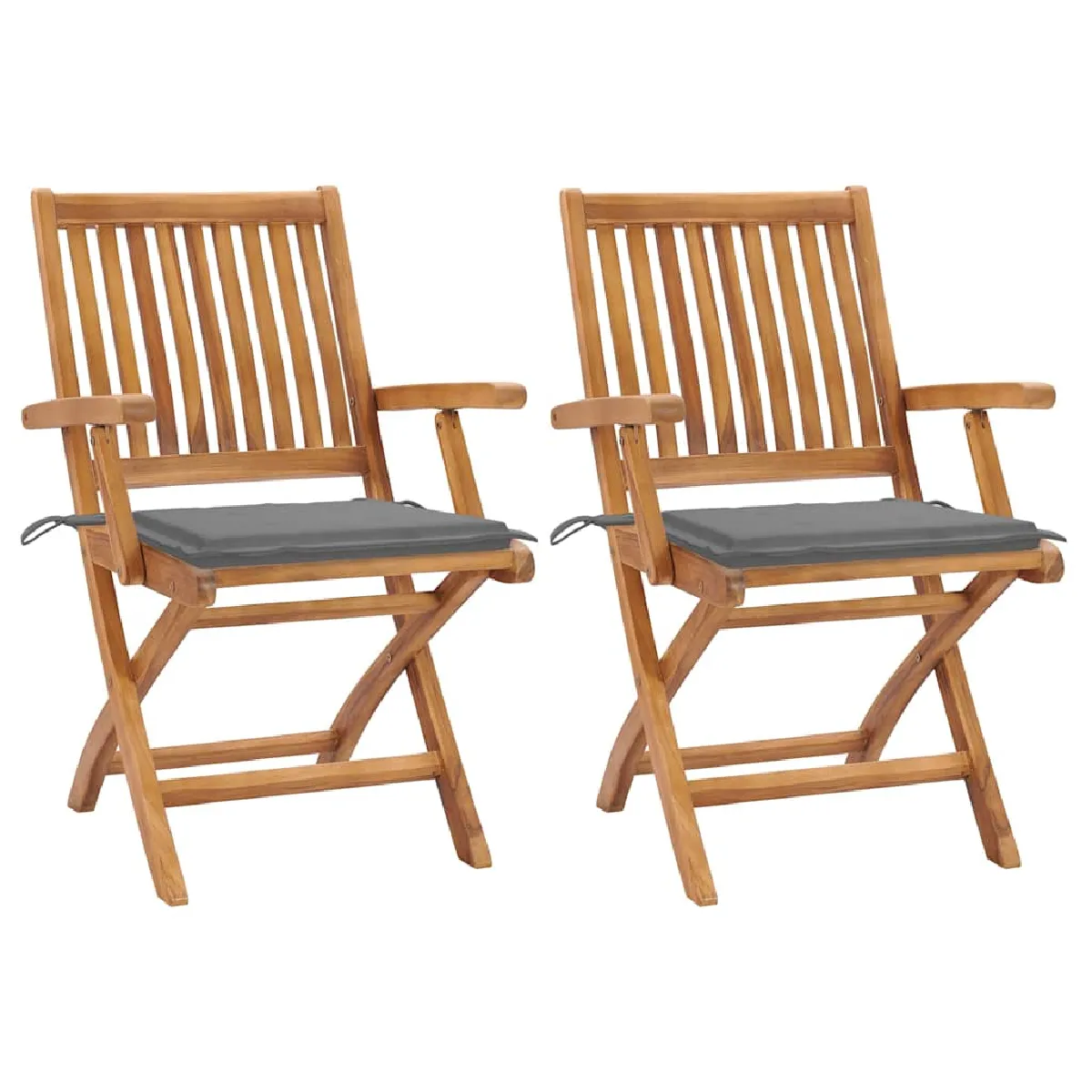vidaXL Chaises pliables jardin 2 pcs