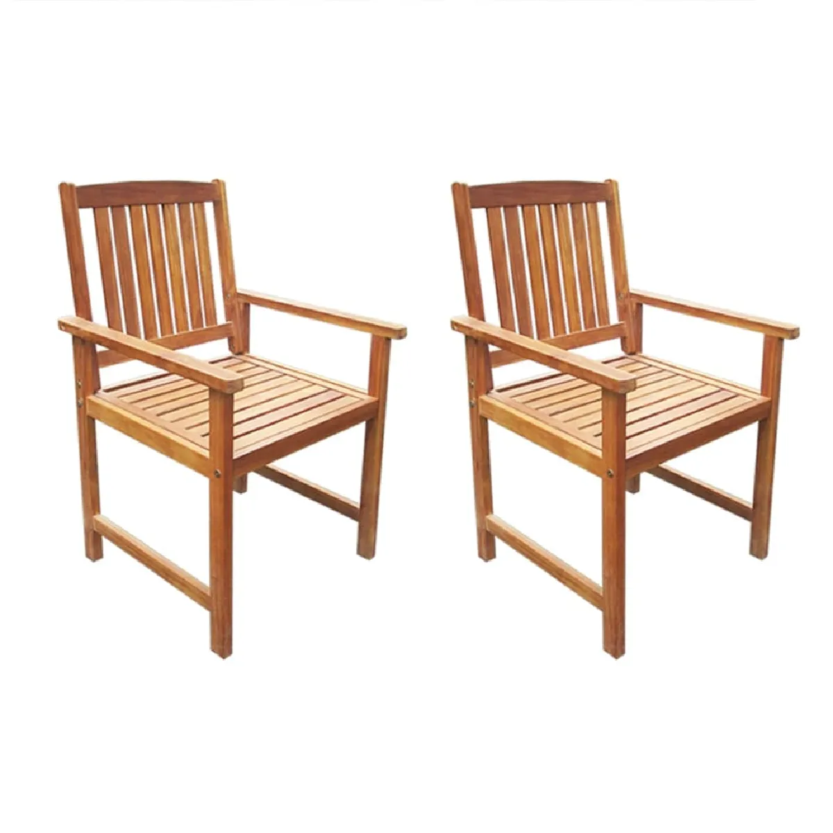 vidaXL Chaises de jardin lot de 2