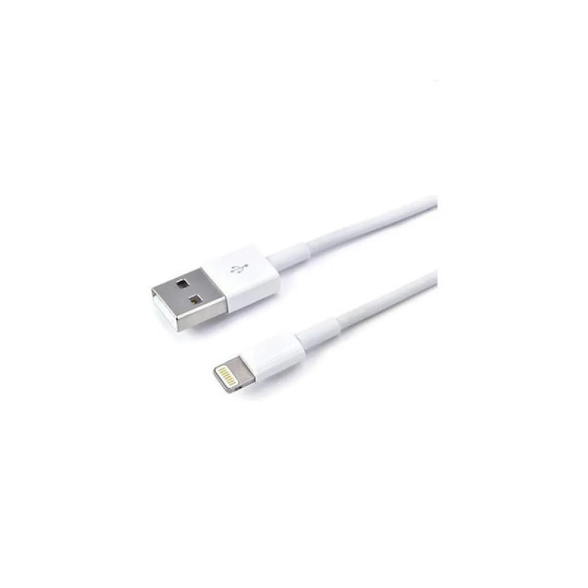 We - Câble USB pour Apple - 3 mètres - Blanc - Image 4